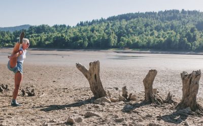 REAKCIJA BEZ REAKCIJE